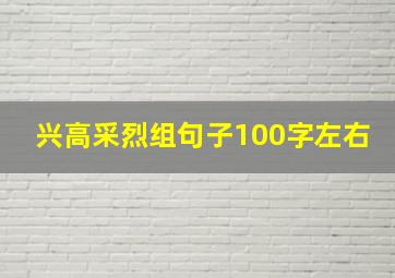 兴高采烈组句子100字左右