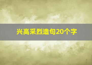 兴高采烈造句20个字