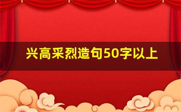 兴高采烈造句50字以上