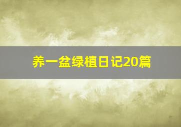 养一盆绿植日记20篇