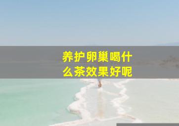 养护卵巢喝什么茶效果好呢