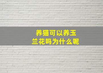 养猫可以养玉兰花吗为什么呢