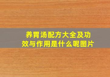 养胃汤配方大全及功效与作用是什么呢图片