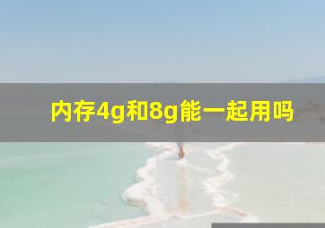 内存4g和8g能一起用吗