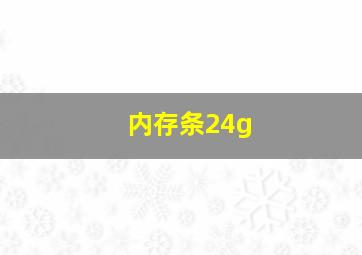 内存条24g