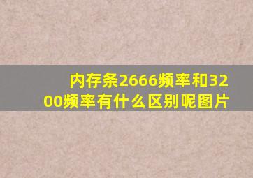 内存条2666频率和3200频率有什么区别呢图片