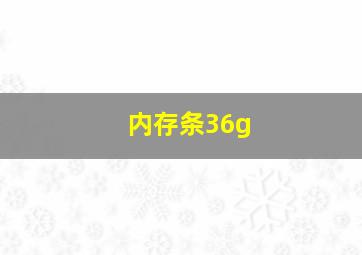 内存条36g