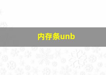 内存条unb