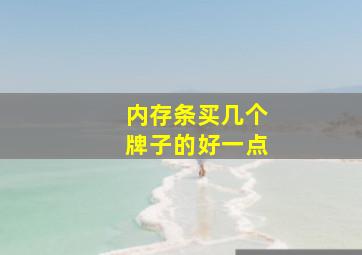 内存条买几个牌子的好一点