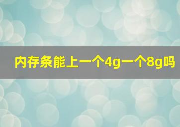 内存条能上一个4g一个8g吗