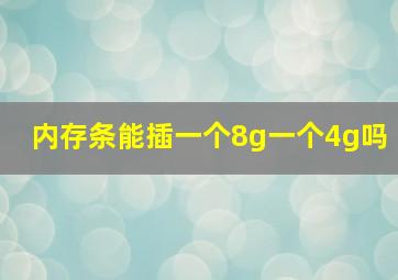 内存条能插一个8g一个4g吗