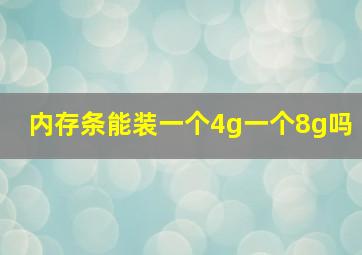 内存条能装一个4g一个8g吗