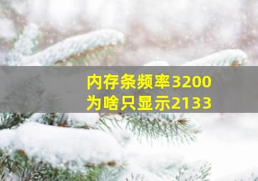 内存条频率3200为啥只显示2133