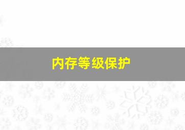 内存等级保护