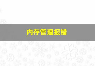 内存管理报错