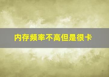 内存频率不高但是很卡