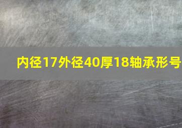 内径17外径40厚18轴承形号