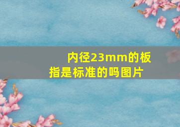 内径23mm的板指是标准的吗图片