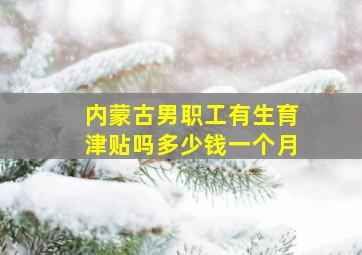 内蒙古男职工有生育津贴吗多少钱一个月