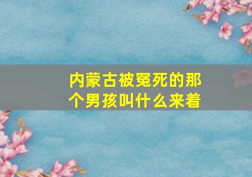 内蒙古被冤死的那个男孩叫什么来着