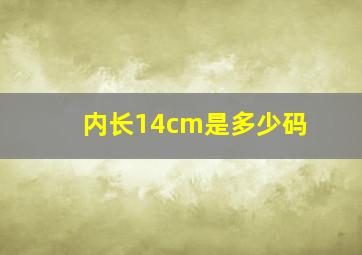 内长14cm是多少码