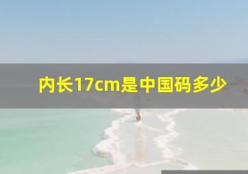 内长17cm是中国码多少