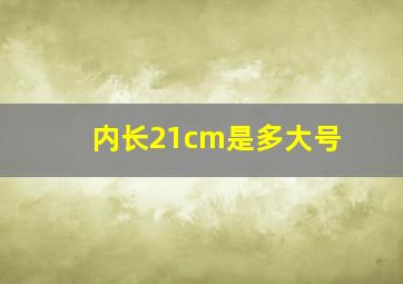 内长21cm是多大号