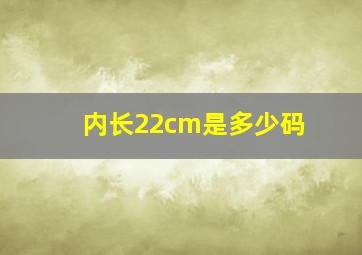 内长22cm是多少码