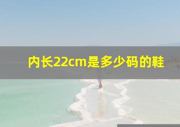 内长22cm是多少码的鞋