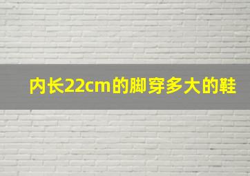 内长22cm的脚穿多大的鞋