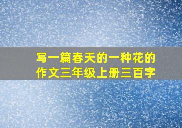 写一篇春天的一种花的作文三年级上册三百字