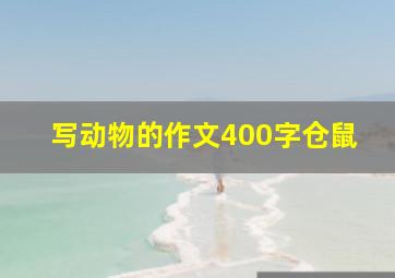 写动物的作文400字仓鼠