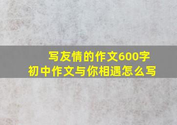 写友情的作文600字初中作文与你相遇怎么写