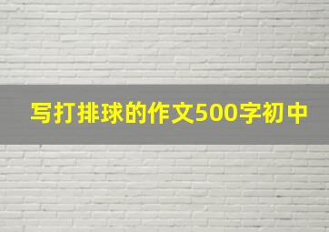 写打排球的作文500字初中