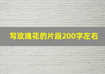 写玫瑰花的片段200字左右