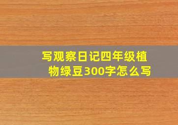 写观察日记四年级植物绿豆300字怎么写