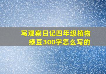 写观察日记四年级植物绿豆300字怎么写的