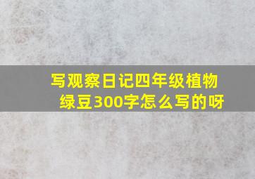 写观察日记四年级植物绿豆300字怎么写的呀