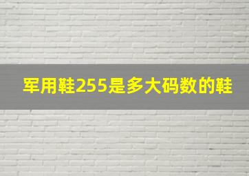 军用鞋255是多大码数的鞋