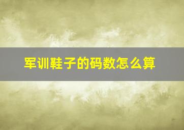 军训鞋子的码数怎么算