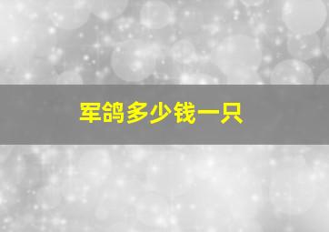 军鸽多少钱一只