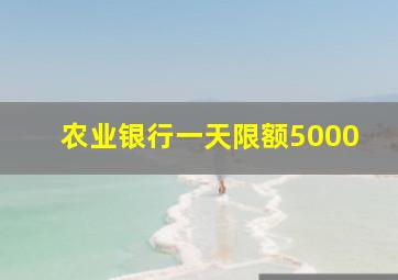 农业银行一天限额5000