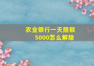 农业银行一天限额5000怎么解除