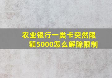 农业银行一类卡突然限额5000怎么解除限制