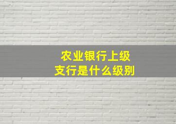 农业银行上级支行是什么级别