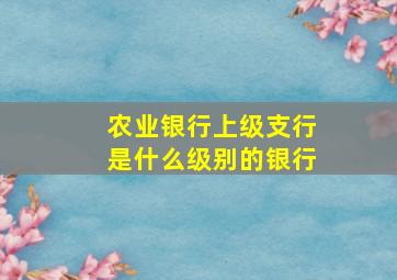 农业银行上级支行是什么级别的银行