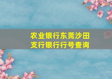 农业银行东莞沙田支行银行行号查询