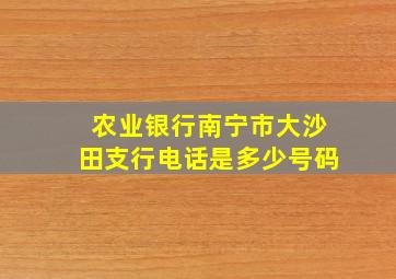 农业银行南宁市大沙田支行电话是多少号码