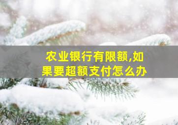 农业银行有限额,如果要超额支付怎么办