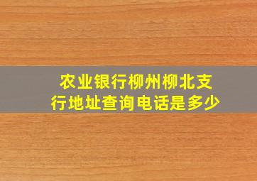 农业银行柳州柳北支行地址查询电话是多少